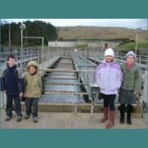 Water plant 008.jpg